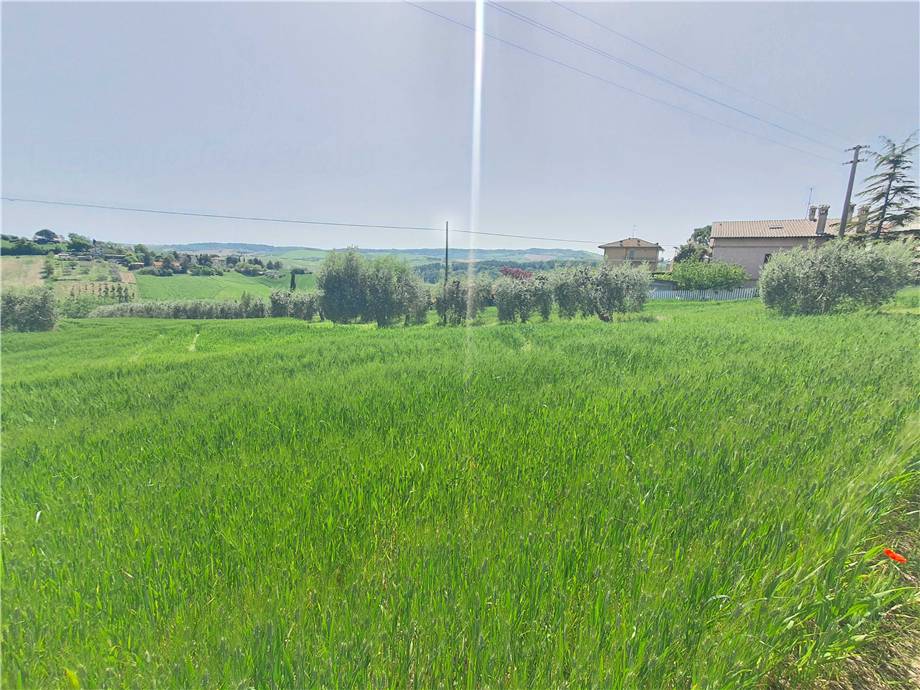 Venta Terreno edificable Fermo Ete Caldarette #fm016 n.6