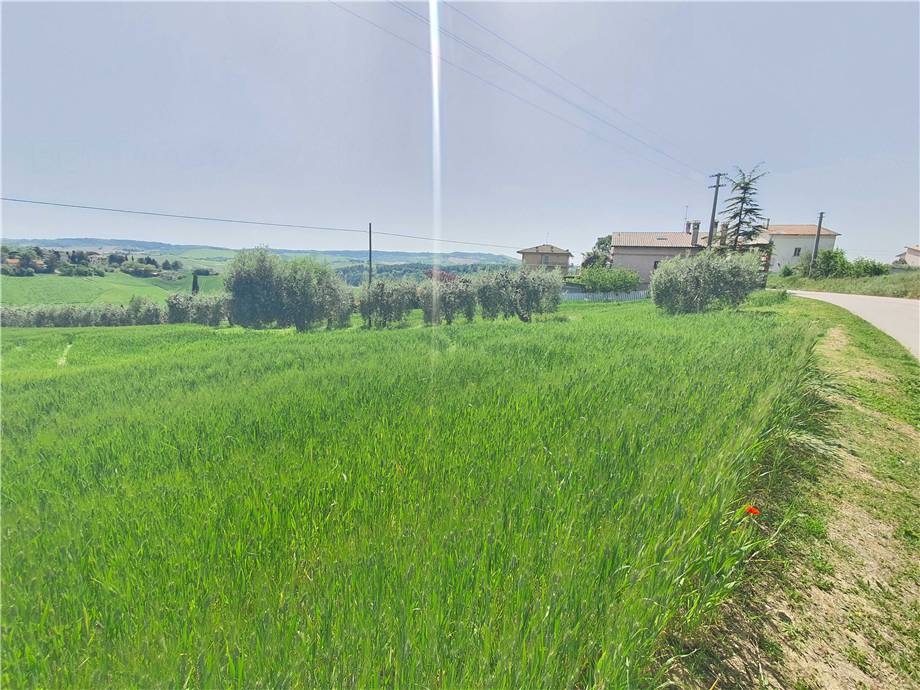 Vendita Terreno Fermo Ete Caldarette #fm016 n.7