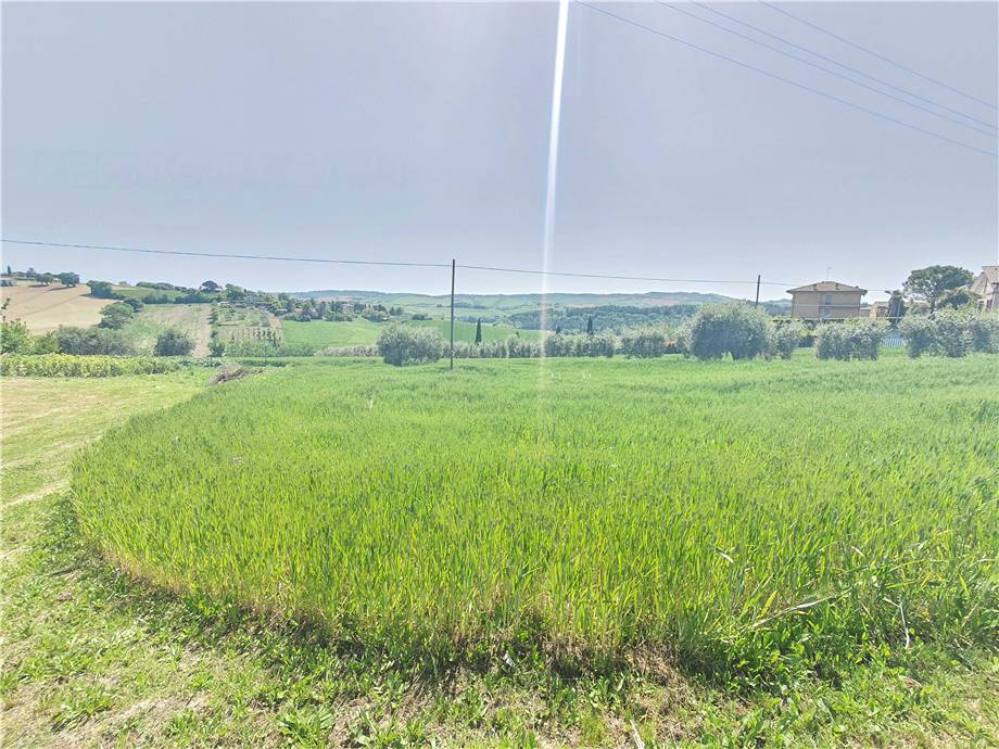 Venta Terreno edificable Fermo Ete Caldarette #fm016 n.9