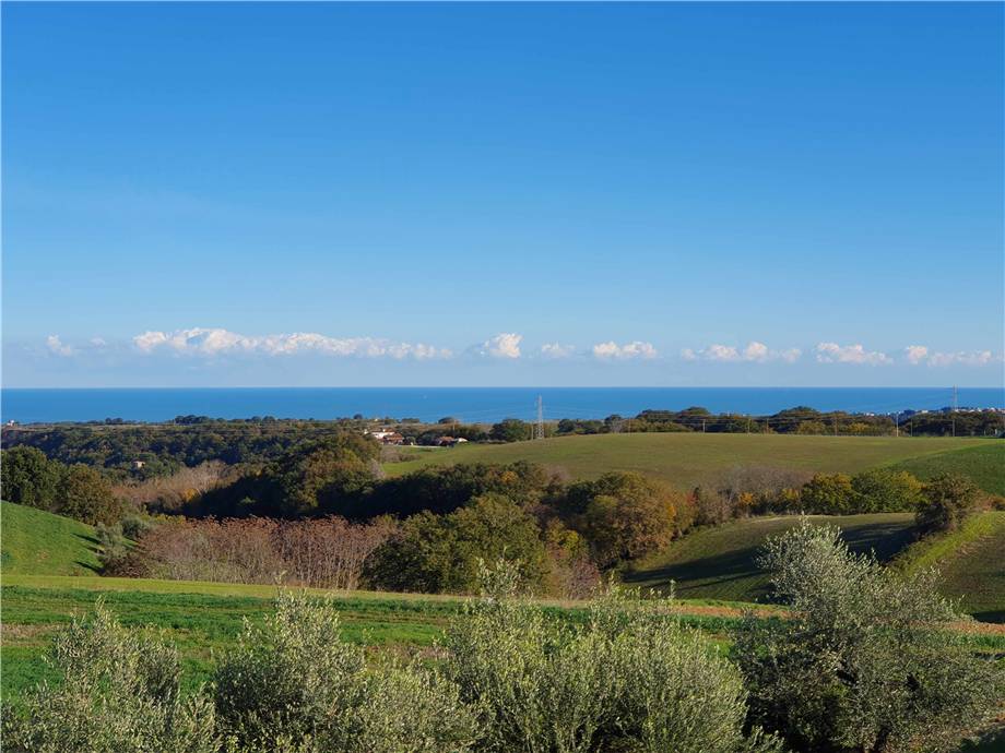 For sale Detached house Lapedona  #Lap001 n.6