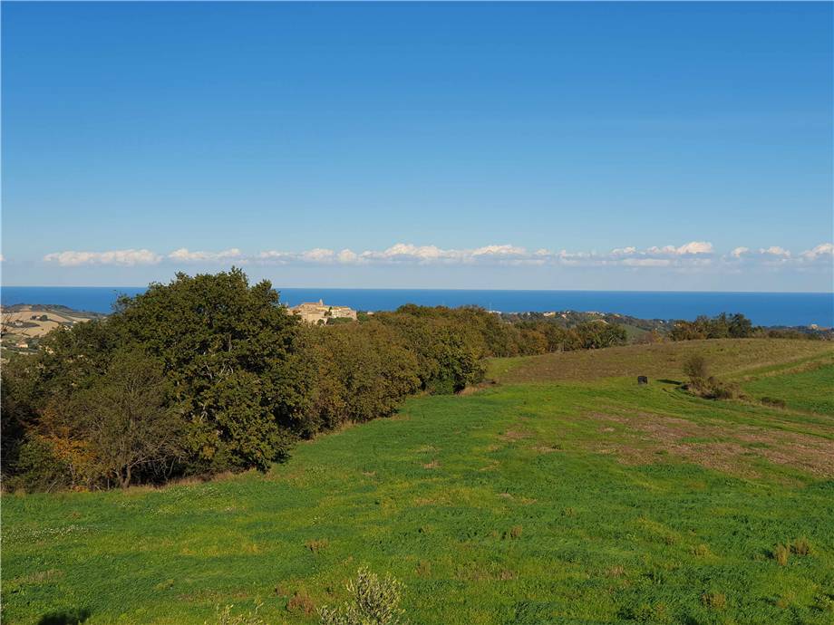 For sale Detached house Lapedona  #Lap001 n.7