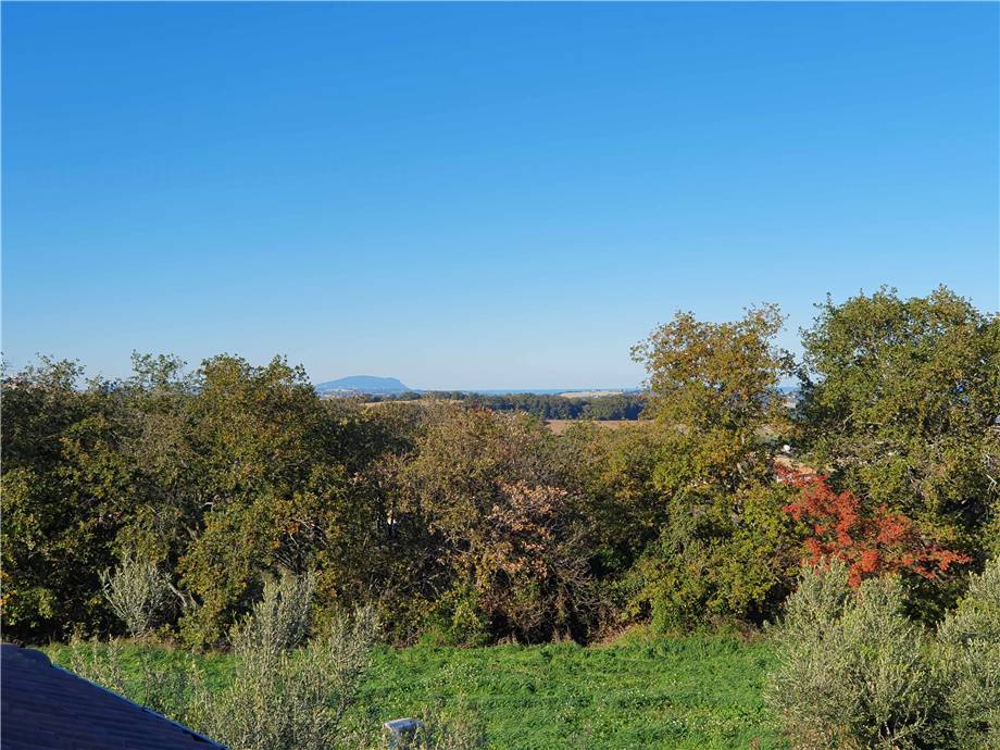 For sale Detached house Lapedona  #Lap001 n.8