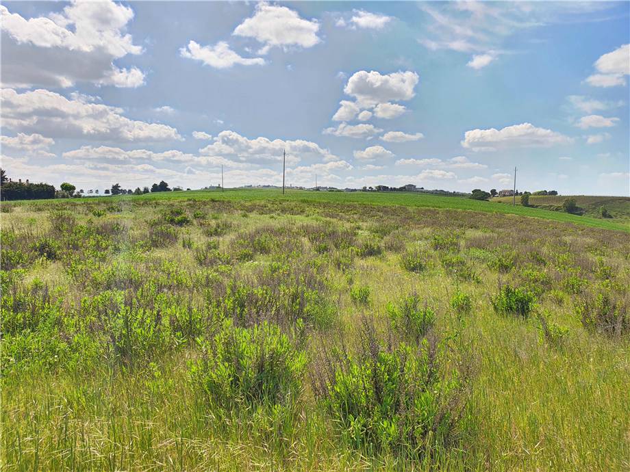 Venta Terreno edificable Lapedona  #Lap002 n.18