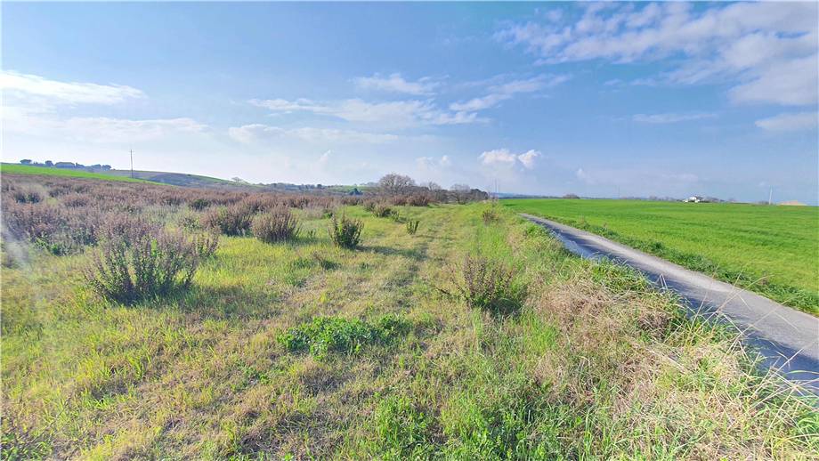 Venta Terreno edificable Lapedona  #Lap002 n.26