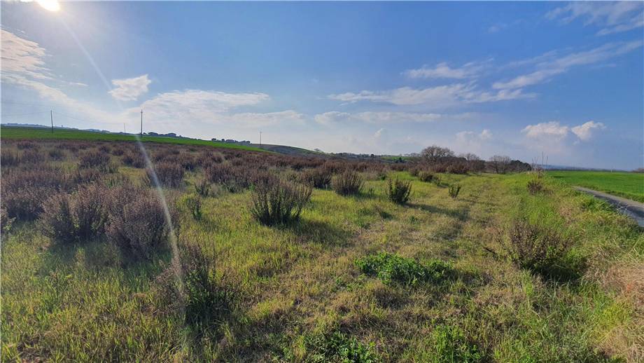 Venta Terreno edificable Lapedona  #Lap002 n.27