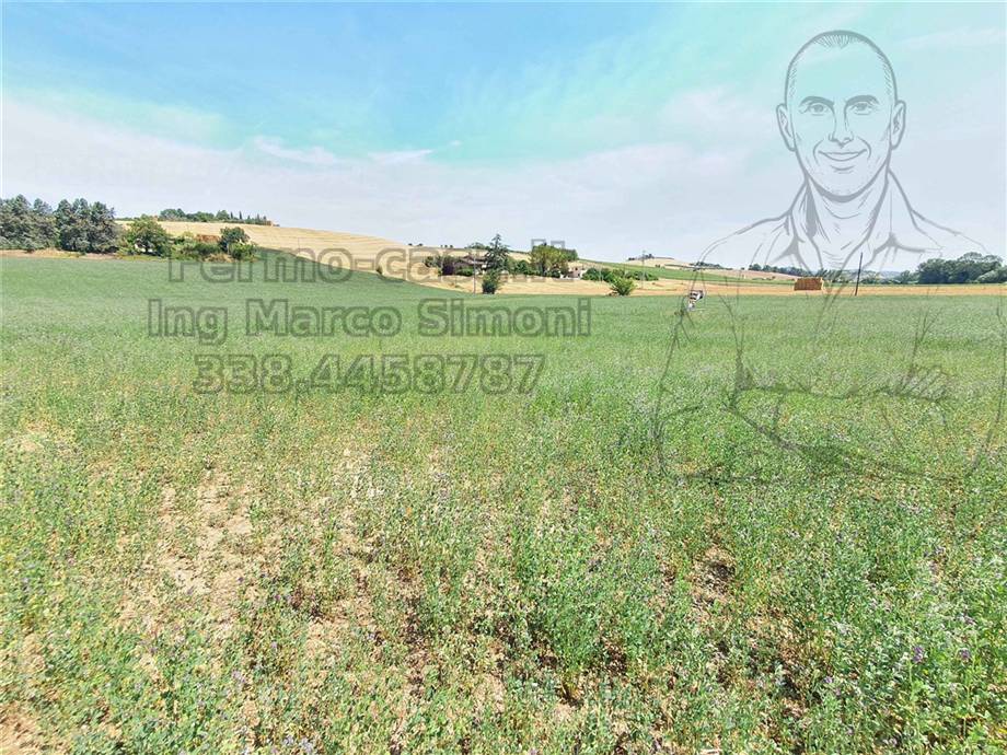 For sale Country house Ponzano di Fermo  #Pnz003 n.19