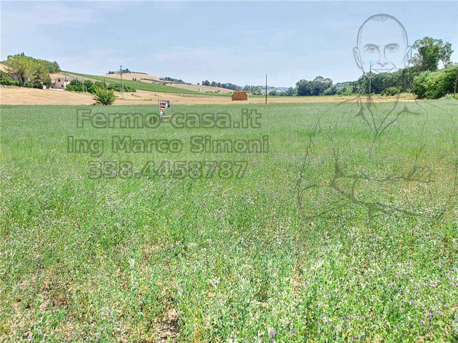 For sale Country house Ponzano di Fermo  #Pnz003 n.21