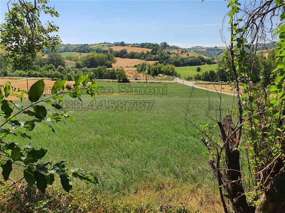 For sale Country house Ponzano di Fermo  #Pnz003 n.22