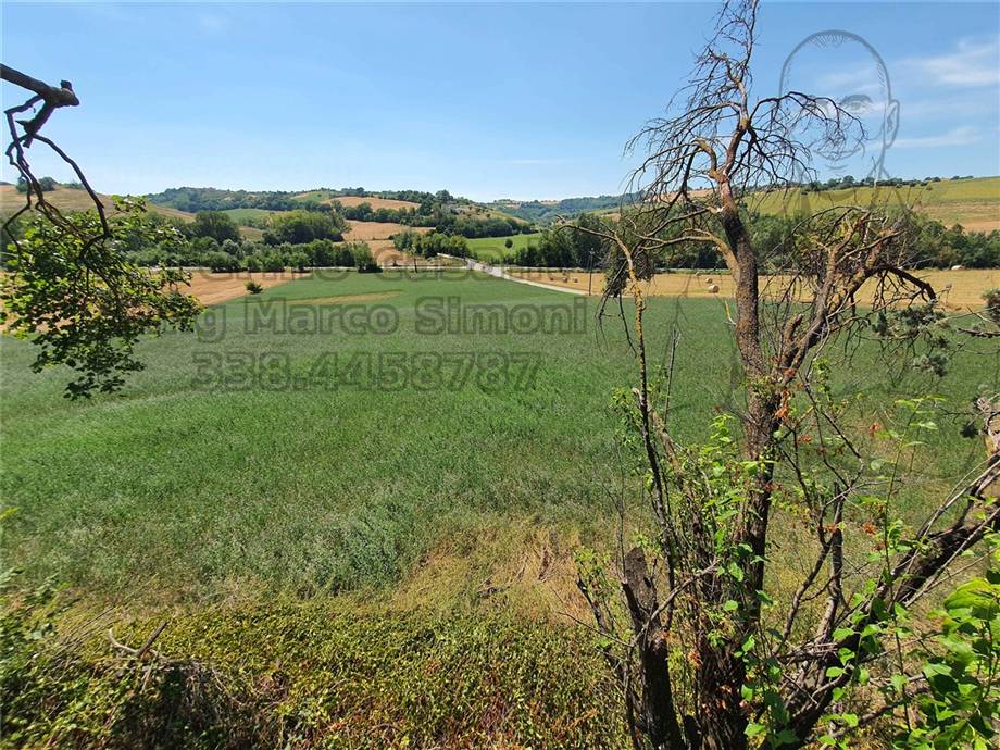 For sale Country house Ponzano di Fermo  #Pnz003 n.24