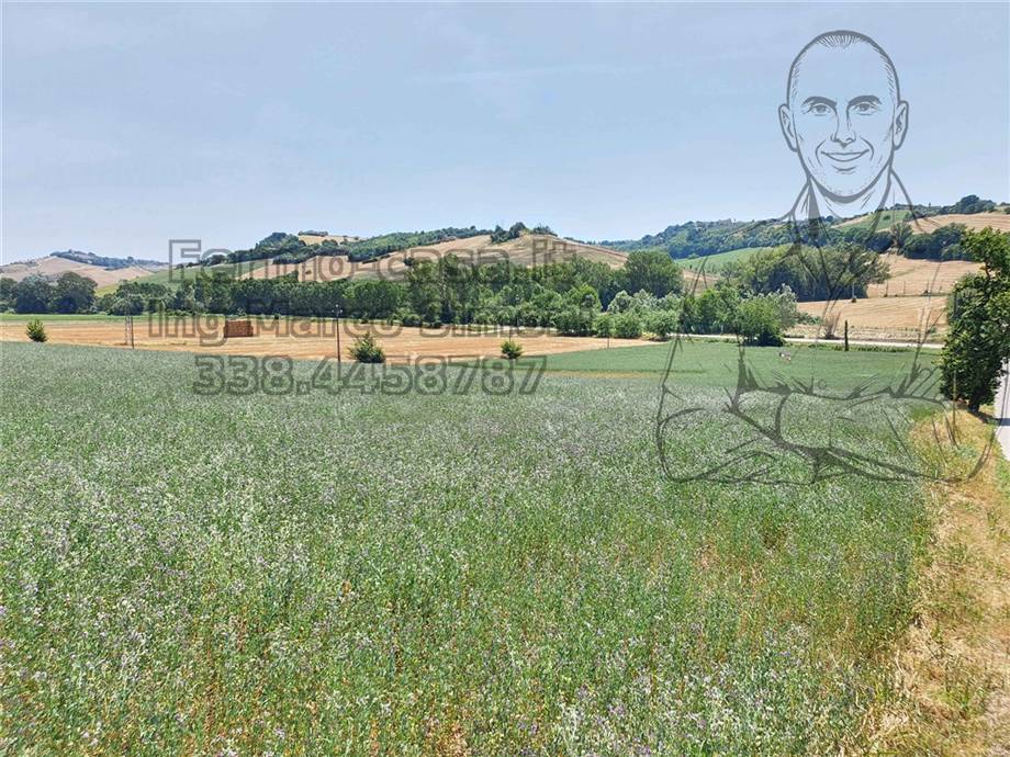 For sale Country house Ponzano di Fermo  #Pnz003 n.8