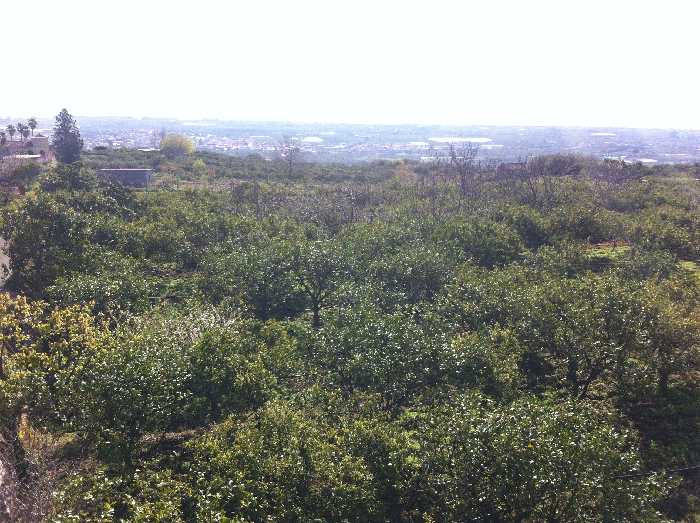 For sale Land Fiumefreddo di Sicilia  #56 n.4