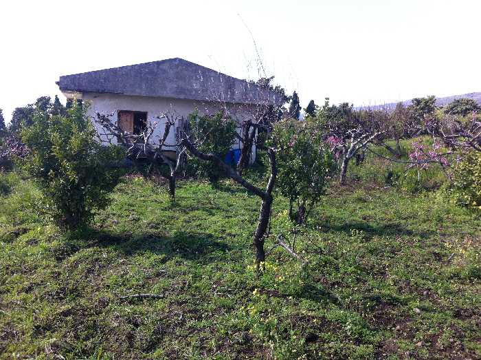 Vendita Terreno Fiumefreddo di Sicilia  #57 n.2