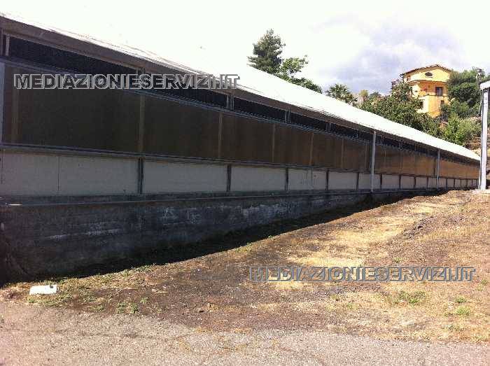 Venta Granja Mascali MASCALI CT #77 n.3