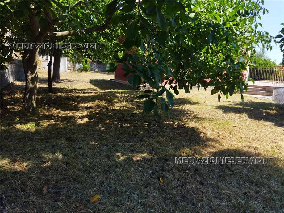 Vendita Rustico/Casale Zafferana Etnea  #145 n.14