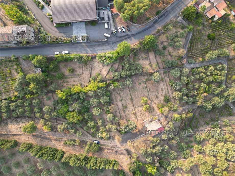 Vendita Terreno Castiglione di Sicilia Solicchiata #152 n.2