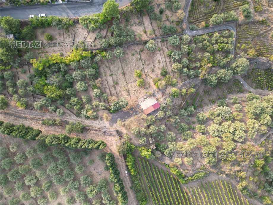 Vendita Terreno Castiglione di Sicilia Solicchiata #152 n.3