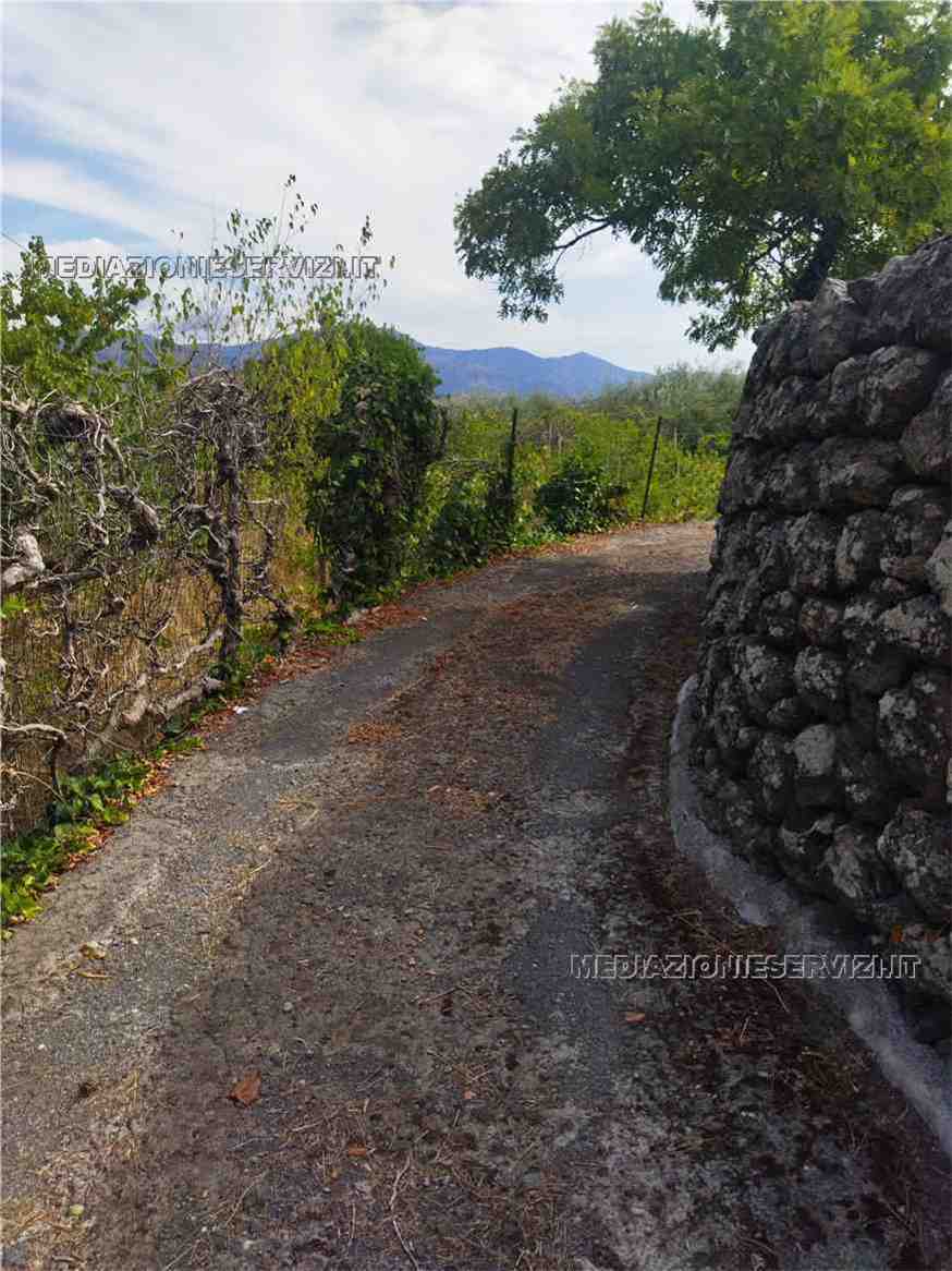 Vendita Terreno Castiglione di Sicilia Solicchiata #152 n.6