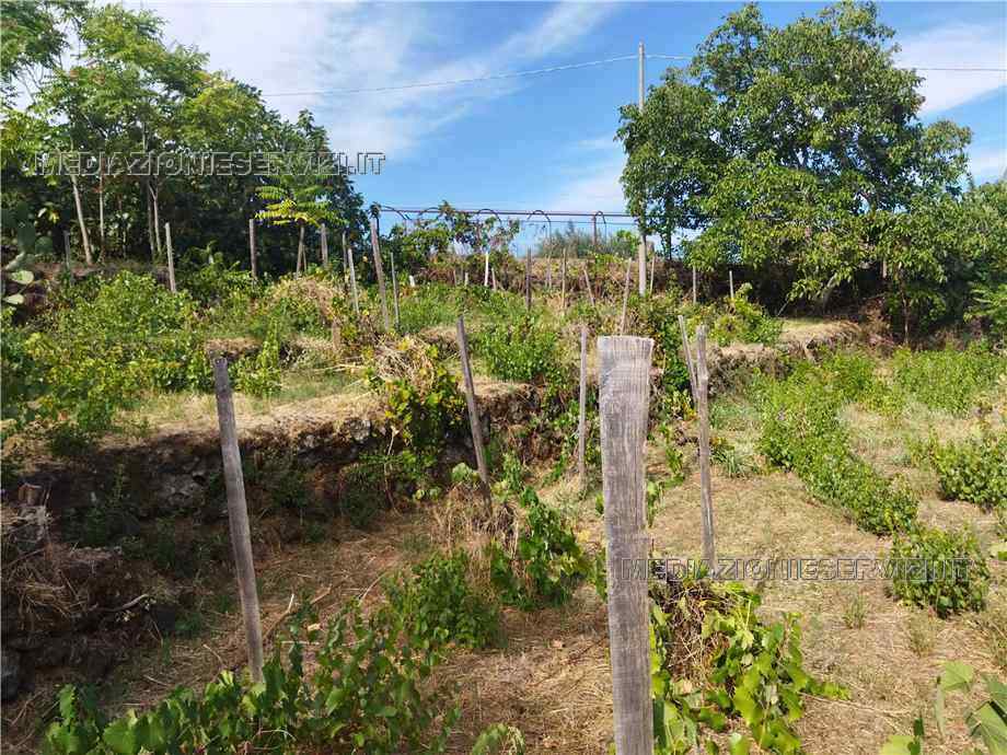 Vendita Terreno Castiglione di Sicilia Solicchiata #152 n.9