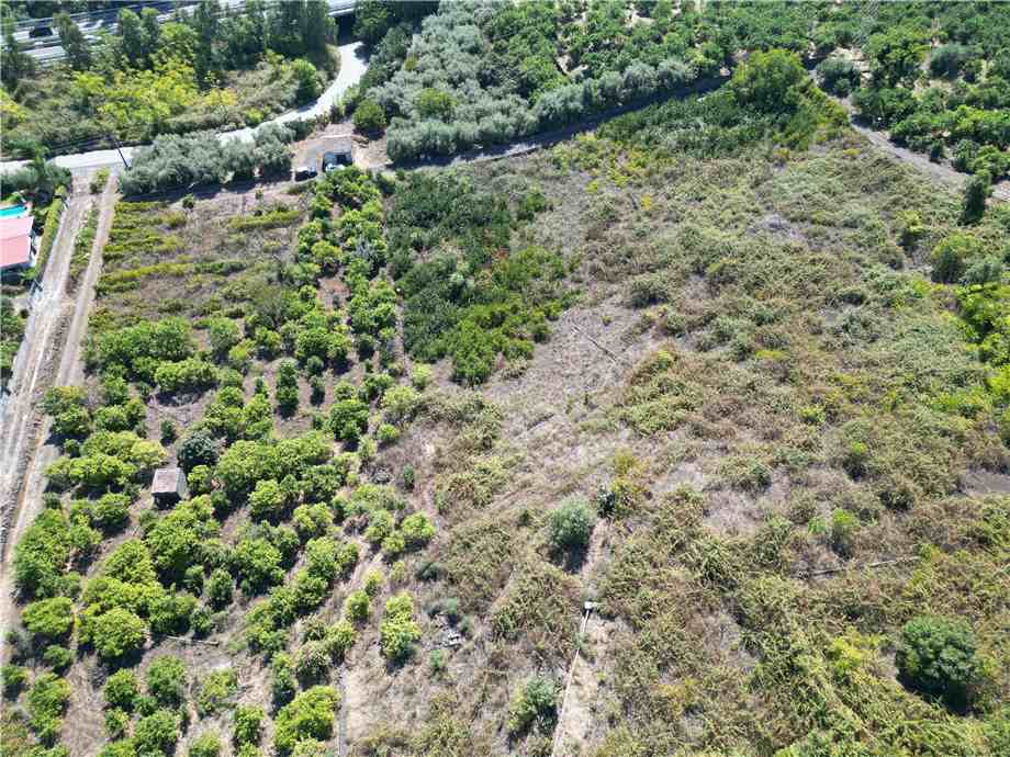 Land Santa Venerina 163