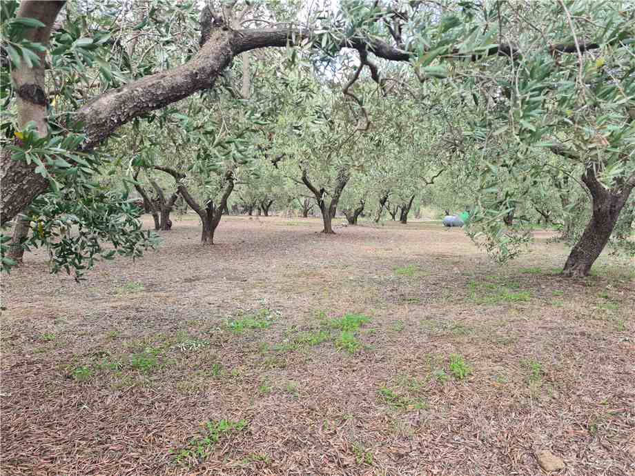 For sale Land Linguaglossa  #165 n.5