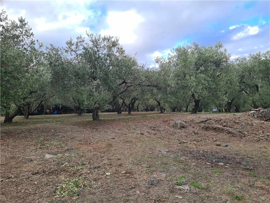 For sale Land Linguaglossa  #165 n.6