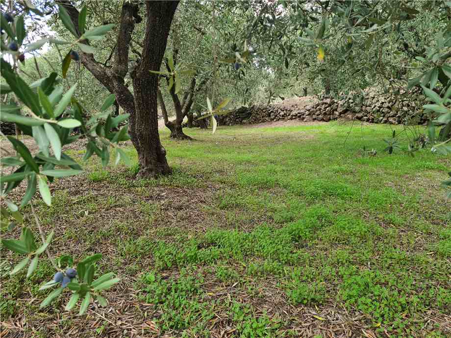For sale Land Linguaglossa  #165 n.7