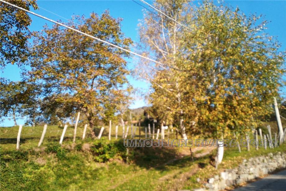 For sale Country house Pettenasco Pratolungo #78 n.12