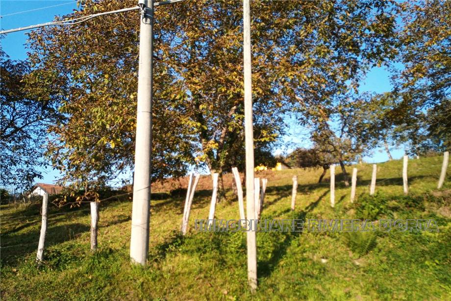For sale Country house Pettenasco Pratolungo #78 n.13