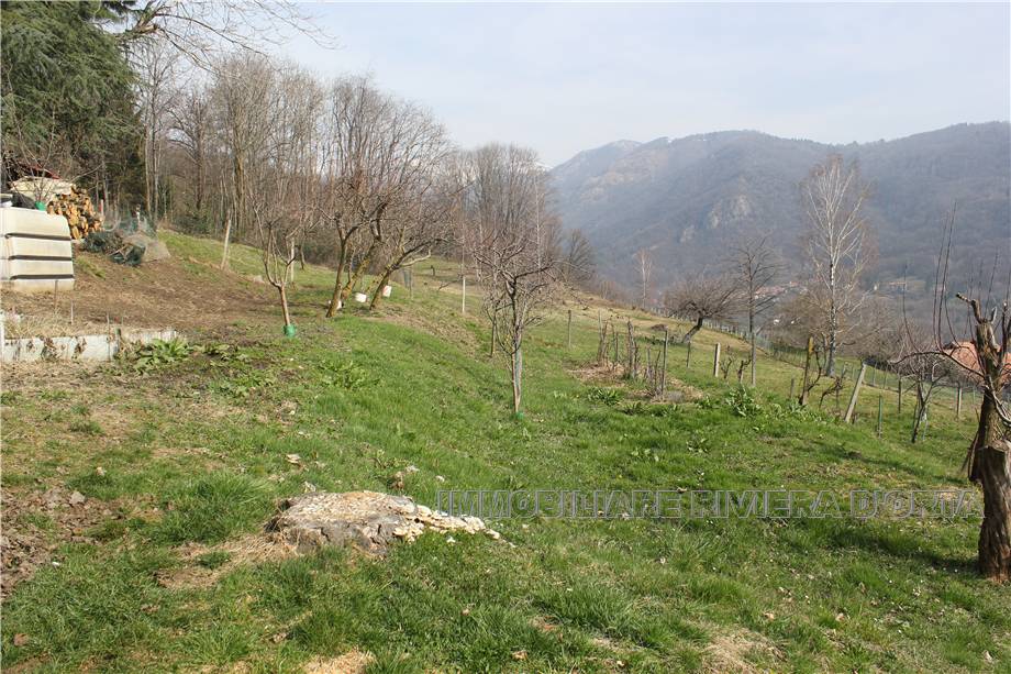 For sale Country house Pettenasco Pratolungo #78 n.2