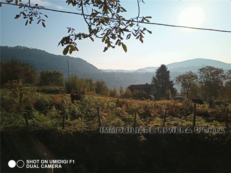 For sale Country house Pettenasco Pratolungo #78 n.7
