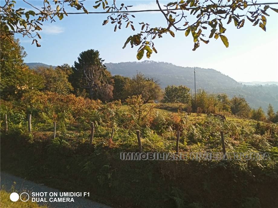 For sale Country house Pettenasco Pratolungo #78 n.9