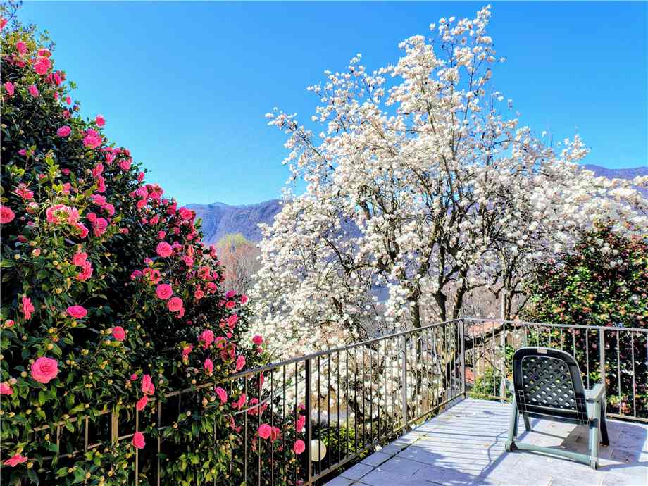 Alquiler Casa independiente Pettenasco Crabbia #113 n.20