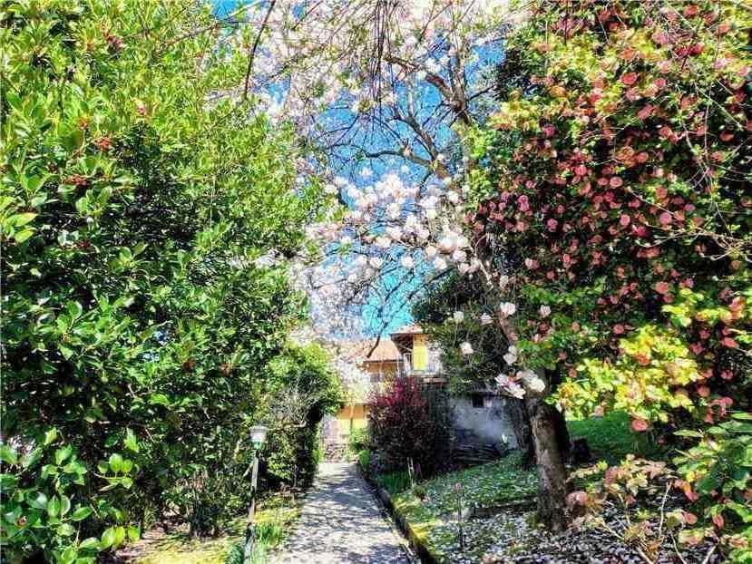 Alquiler Casa independiente Pettenasco Crabbia #113 n.24