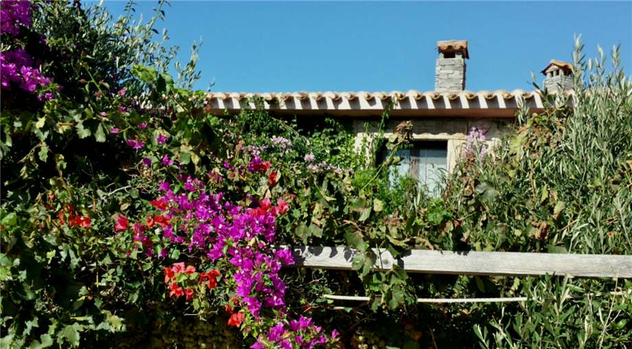 Villa/Casa independiente San Vero Milis #MAR84