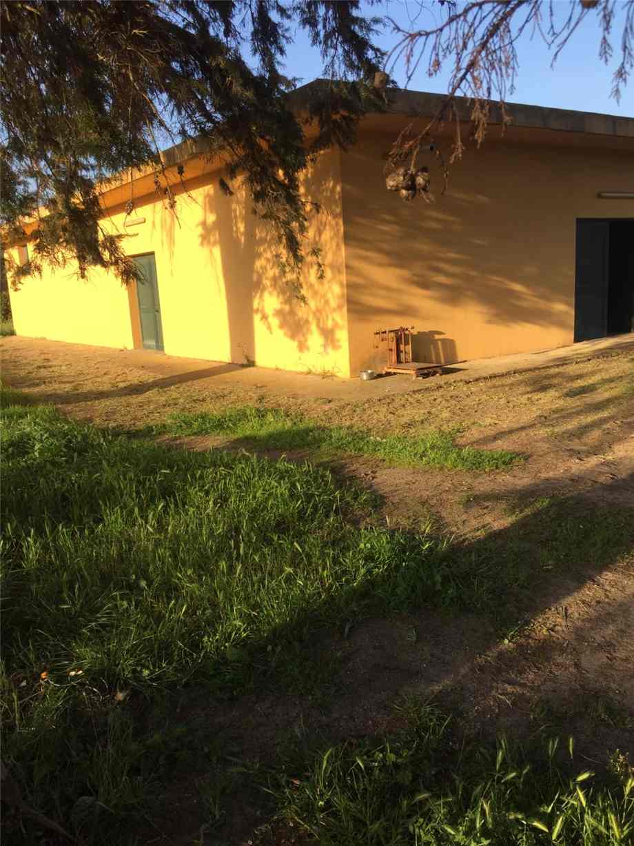 Venta Nave industrial Arborea SASSU #MAR159 n.2