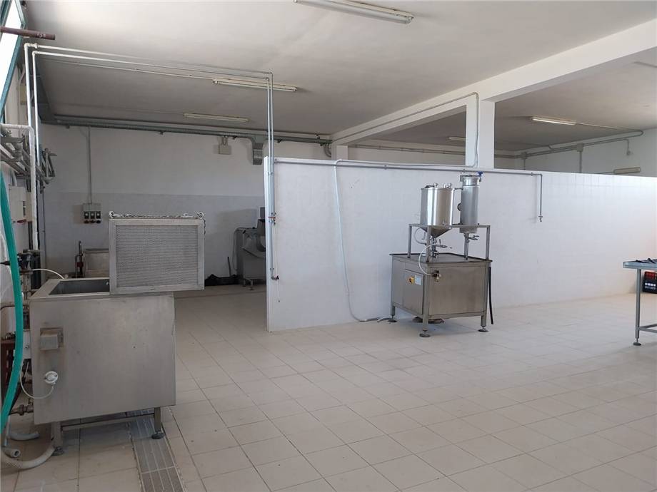 Venta Nave industrial Arborea SASSU #MAR159 n.3