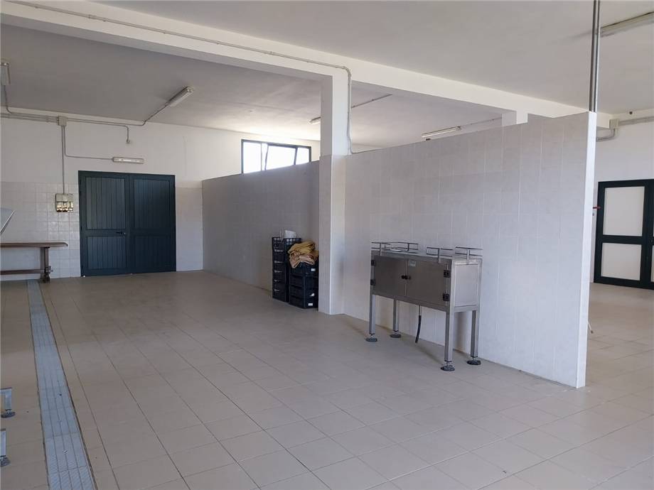 Venta Nave industrial Arborea SASSU #MAR159 n.5