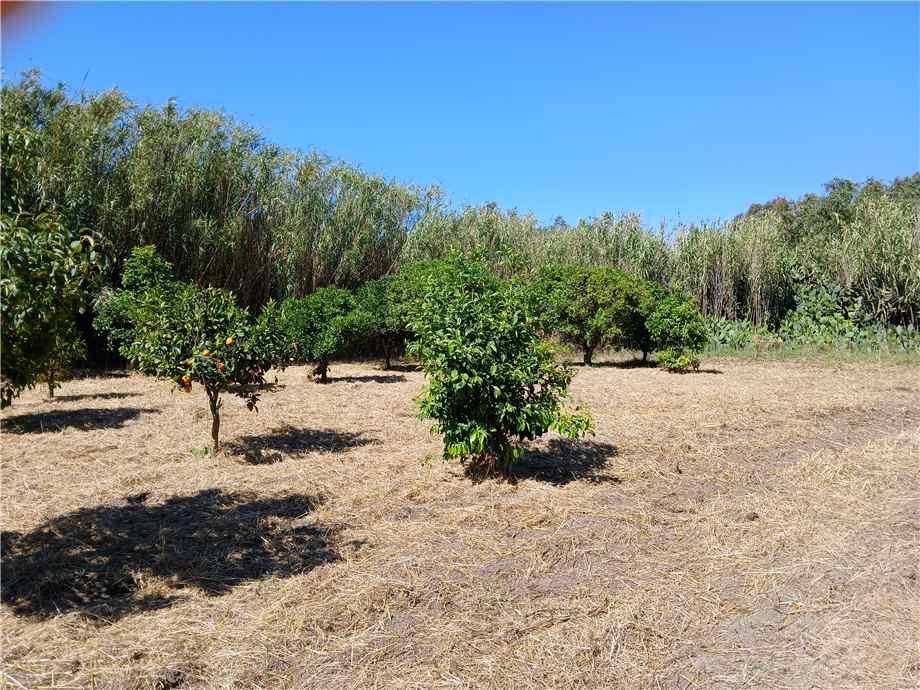 For sale Detached house Arborea ARBOREA CENTRO #MAR160 n.2