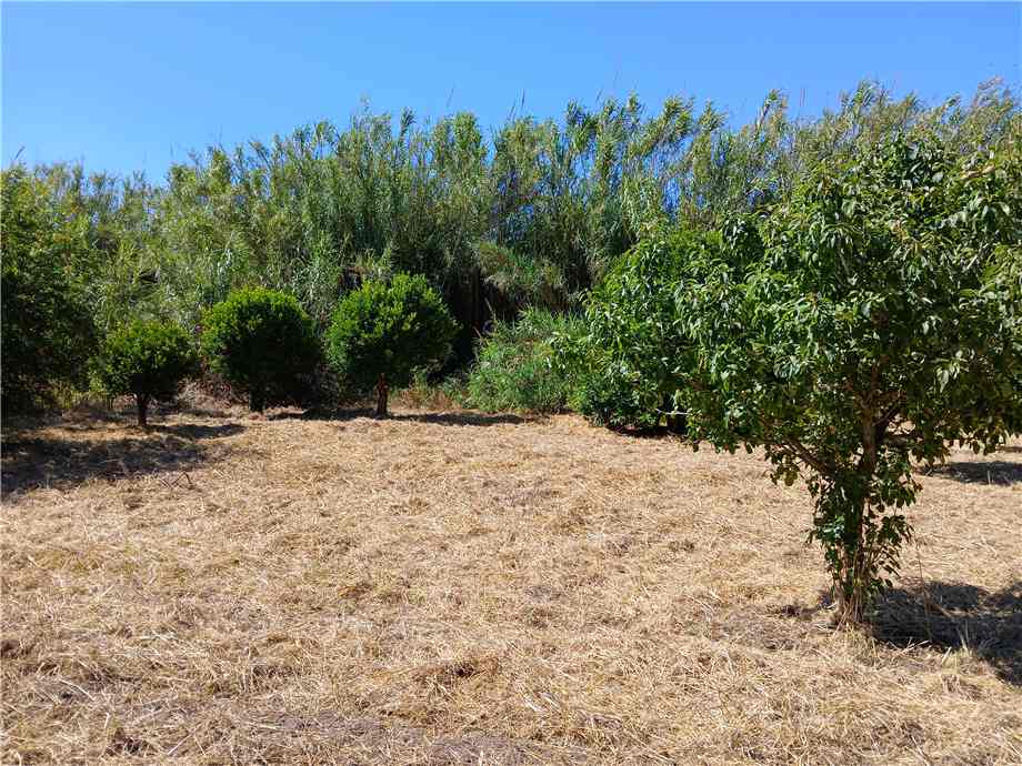For sale Detached house Arborea ARBOREA CENTRO #MAR160 n.3