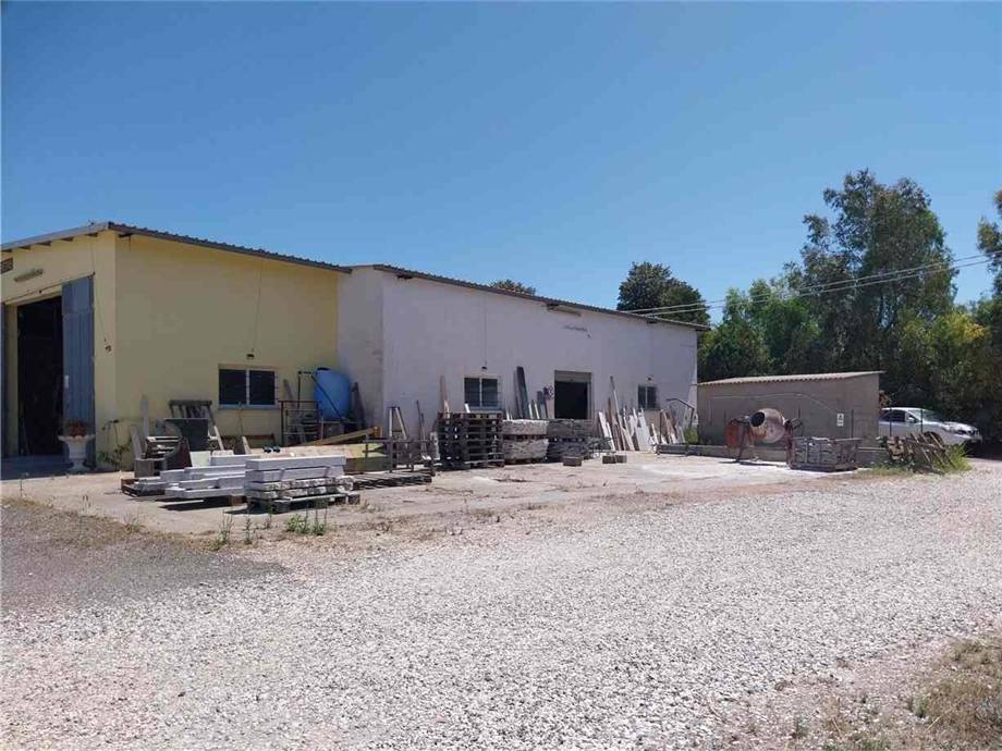 Venta Nave industrial Siamaggiore SS 131 SIAMAGGIORE #MAR164 n.4