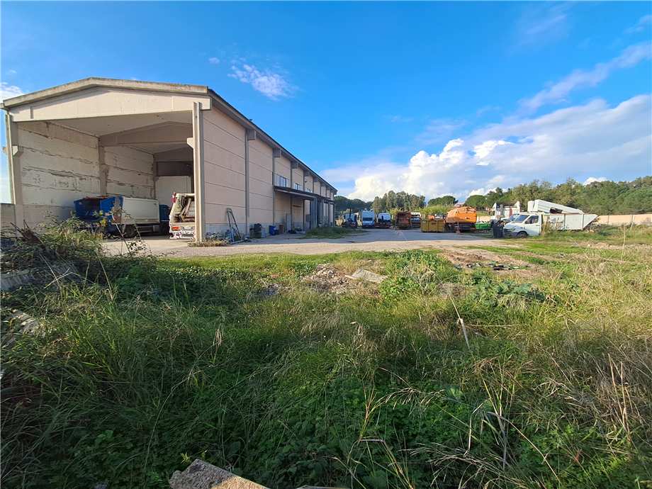 For sale Other commercials Solarussa SOLARUSSA CENTRO #MAR175 n.2