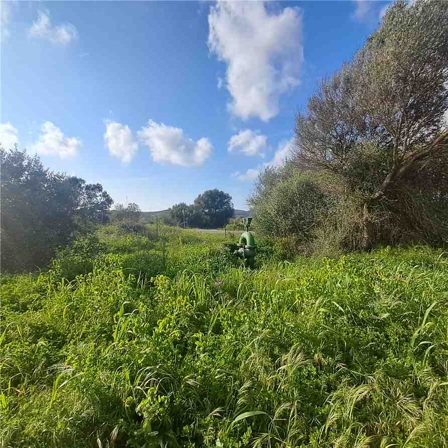 Vendita Fondo Narbolia SP 11 #MAR201 n.3