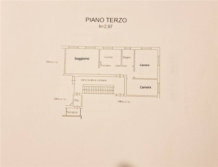 Flat Prato #571