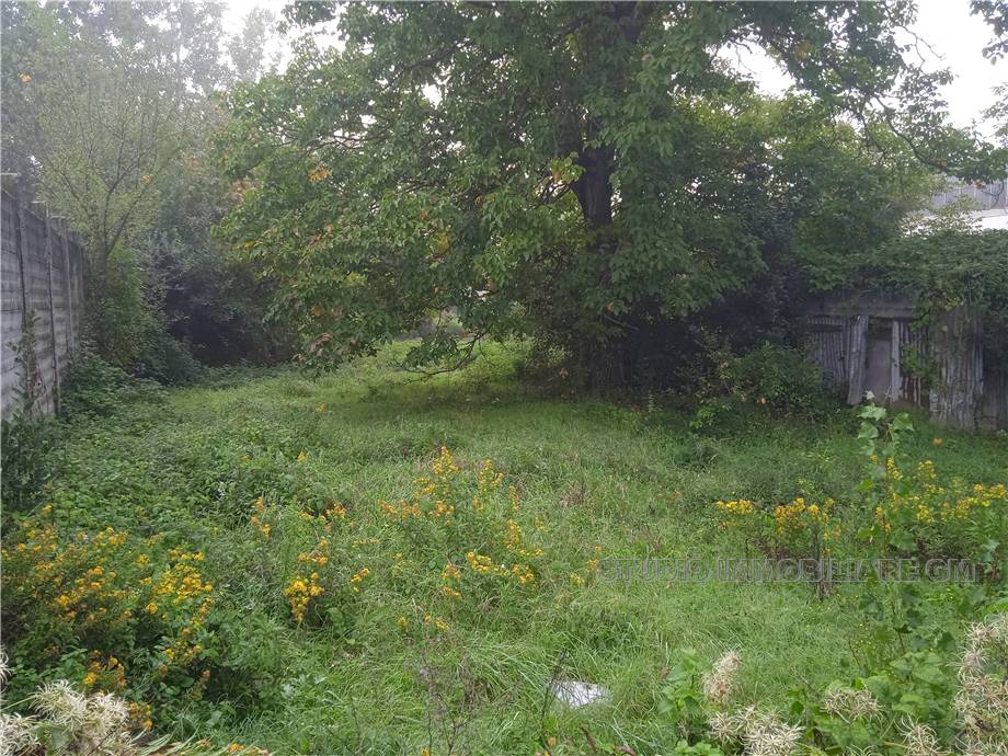 Venta Suelo Prato Iolo #2024 n.3