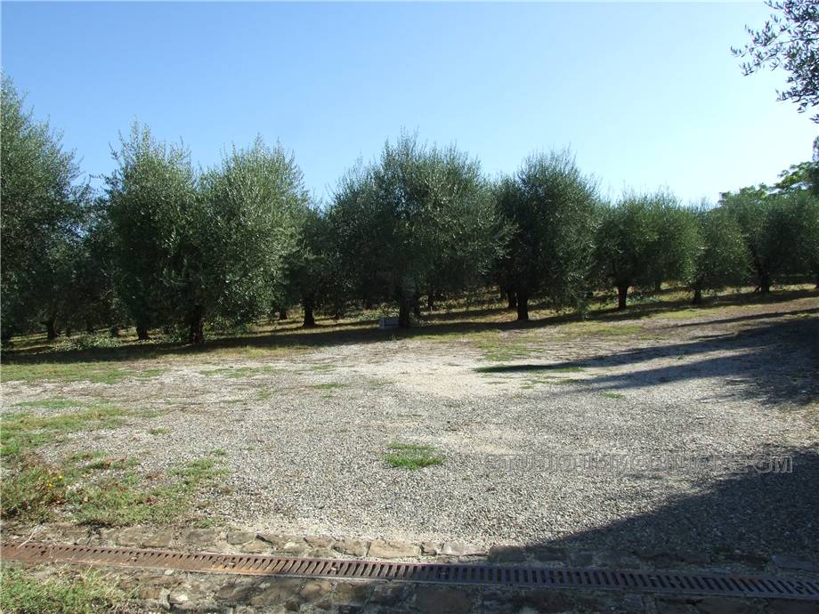Alquiler Piso Firenze  #1141 n.8