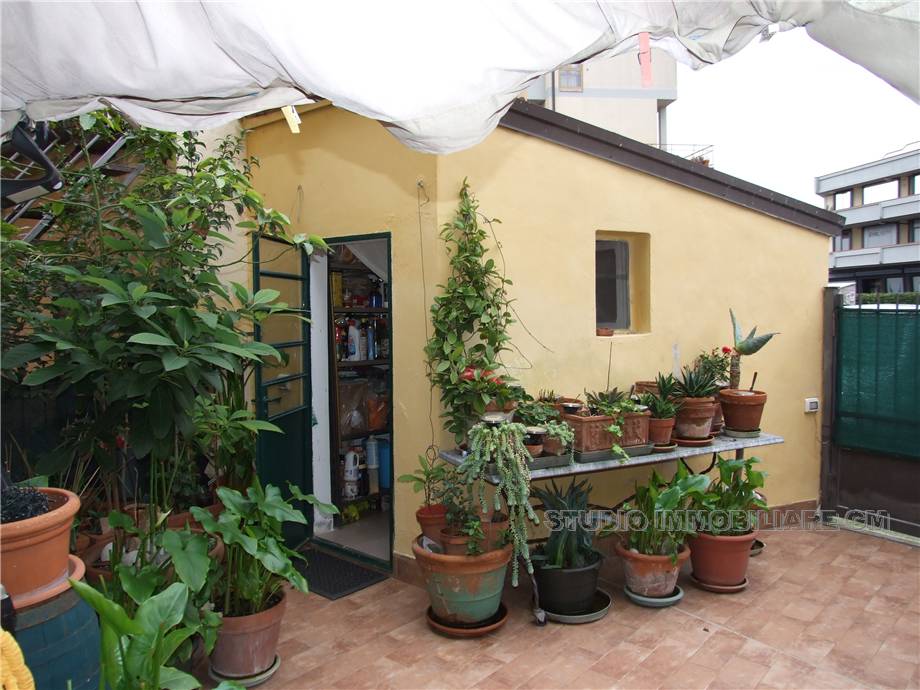 Vendita Villa/Casa singola Prato Valentini Zarini #608 n.10