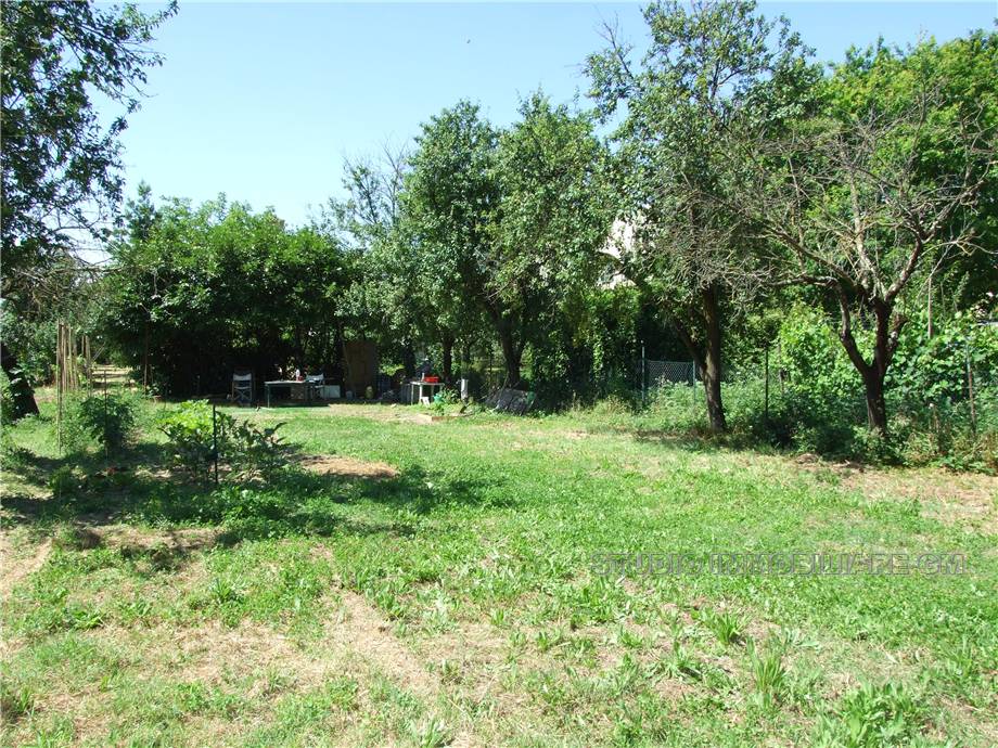 Vendita Terreno Prato Mezzana #2036 n.2