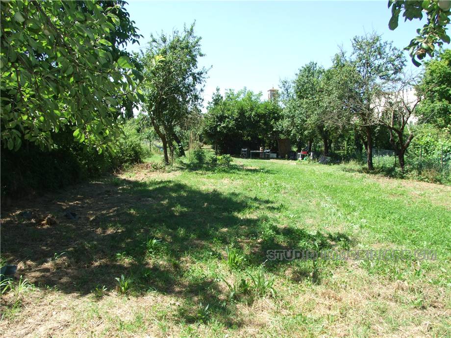 Vendita Terreno Prato Mezzana #2036 n.3