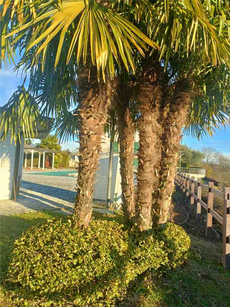 Venta Agroturismo Malgesso  #1474 n.30