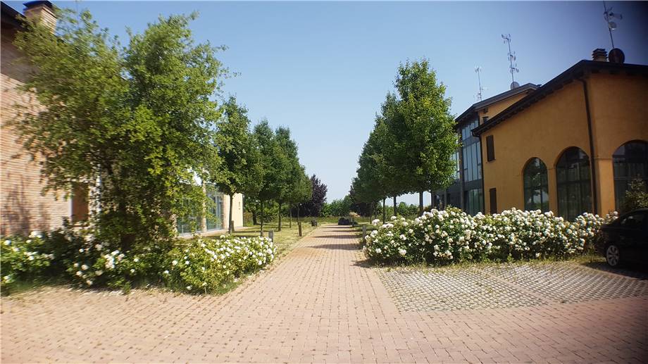 Country house San Prospero #1507